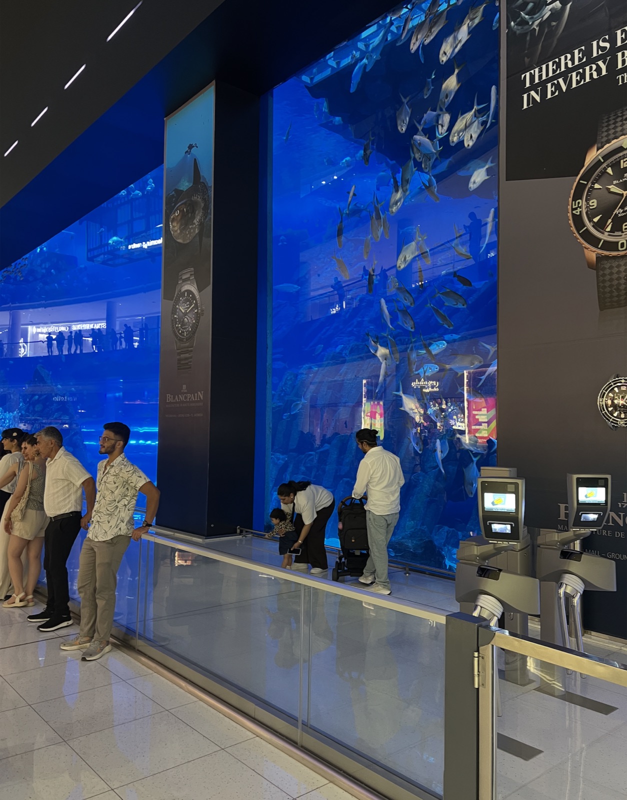 Acuario en el Dubai Mall.